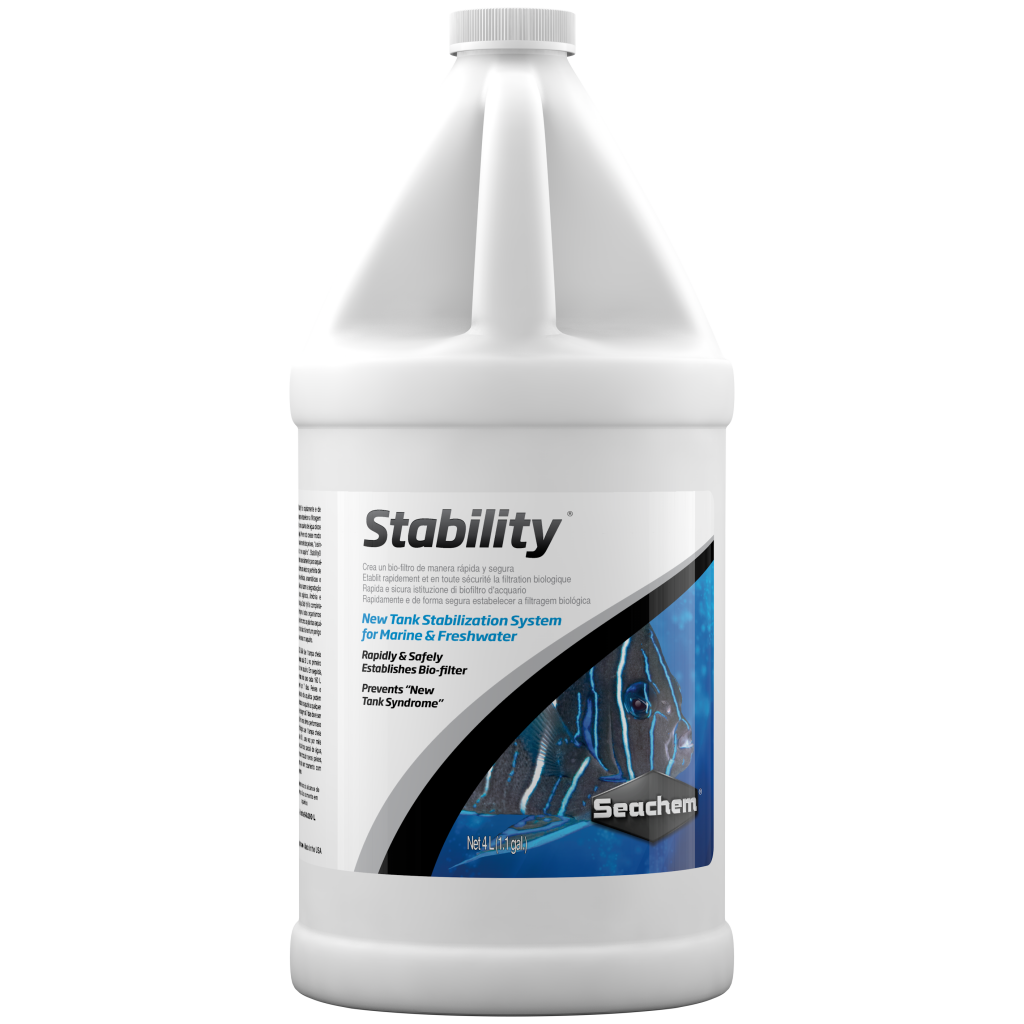 Beautiful view of Saltwater Tank Stability Issues