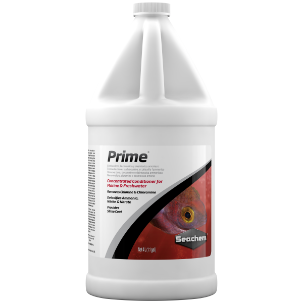 Seachem Prime 4L - Our aquatic hero for clean and vibrant freshwater aquariums! Perfect for your aquatic maintenance toolbox.