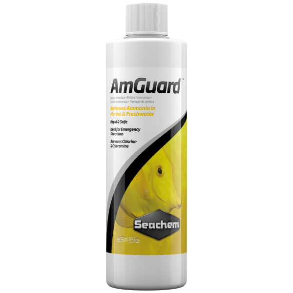 Seachem AmGuard 250 ml for freshwater aquariums – your secret weapon for healthy aquatic life!
