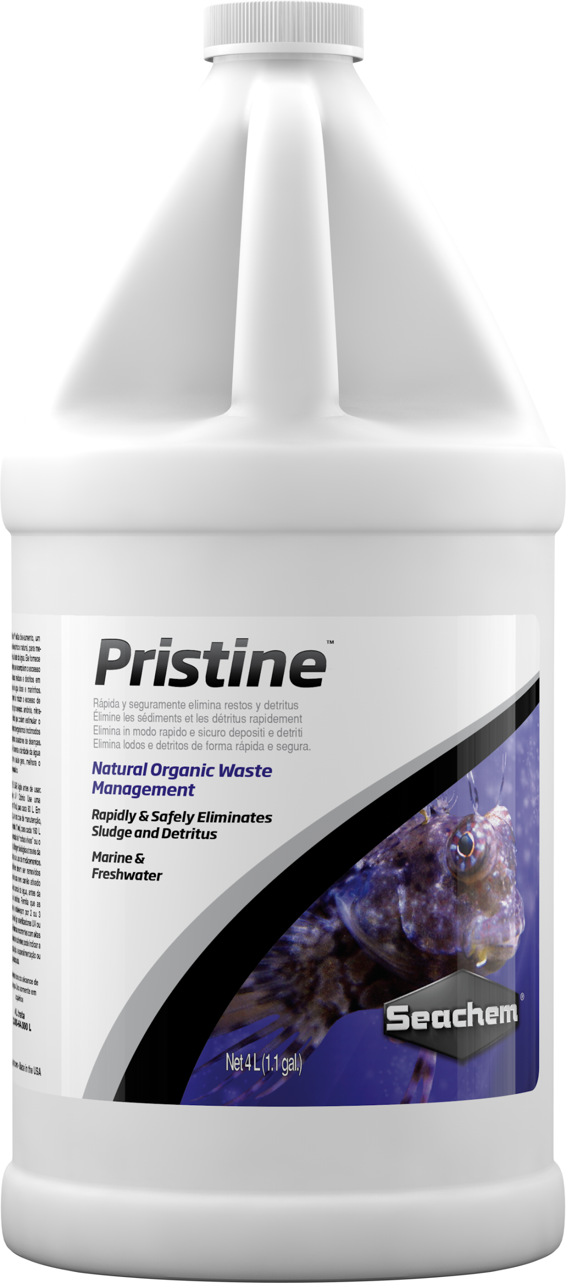 Pristine - Image 4