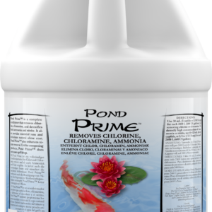 Pond Prime