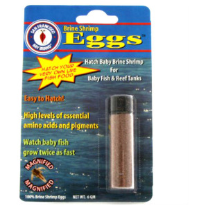 Brine Shrimp Eggs - 6g from San Francisco Bay Brand