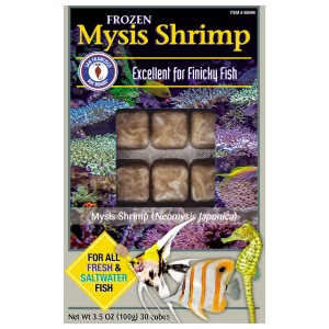 Delight your aquatic friends with San Francisco Bay Mysis Shrimp cubes (100g) – the ultimate frozen food for fresh & salty tanks!