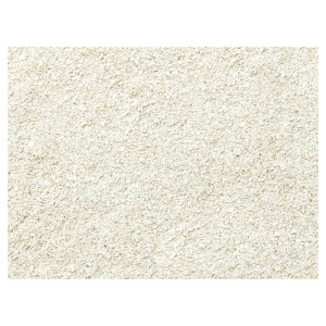 Transform your aquarium with Nature's Ocean Aragonite Sand #1