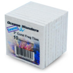 Ocean Wonders 3" Ceramic Coral Frag Tiles - Perfect for your reef tank fragging needs! Support your coral propagation journey!