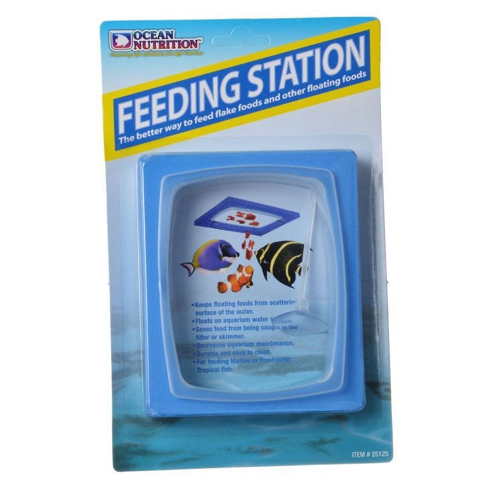 View of Feeding Station San Francisco | Premium Aquarium Food & Feeders