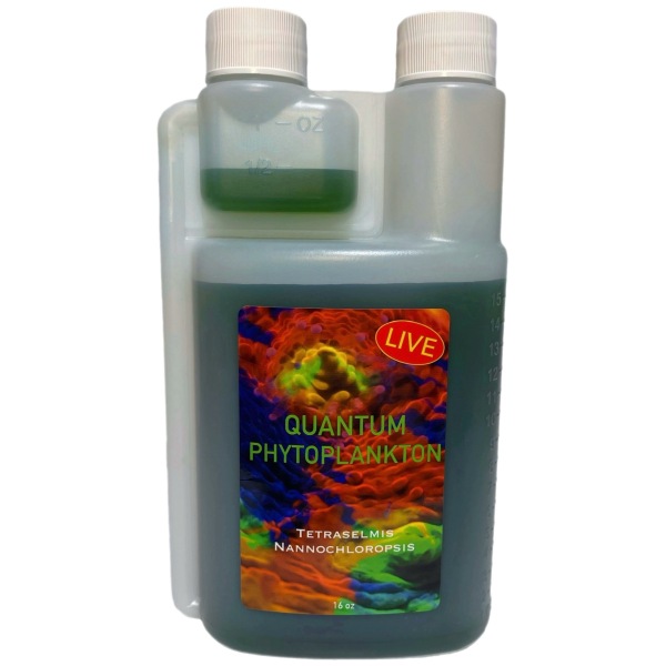 Quantum Corals Live Phytoplankton 16 oz - Fresh & salty nutritional pods for thriving freshwater & saltwater aquariums!