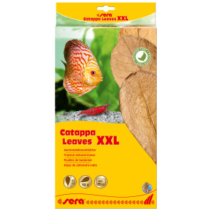 Sera Catappa Leaves XXL (11.8 - 13.8 in) – Perfect for a fresh and clean aquarium! Dive into cleaner waters with Sera!
