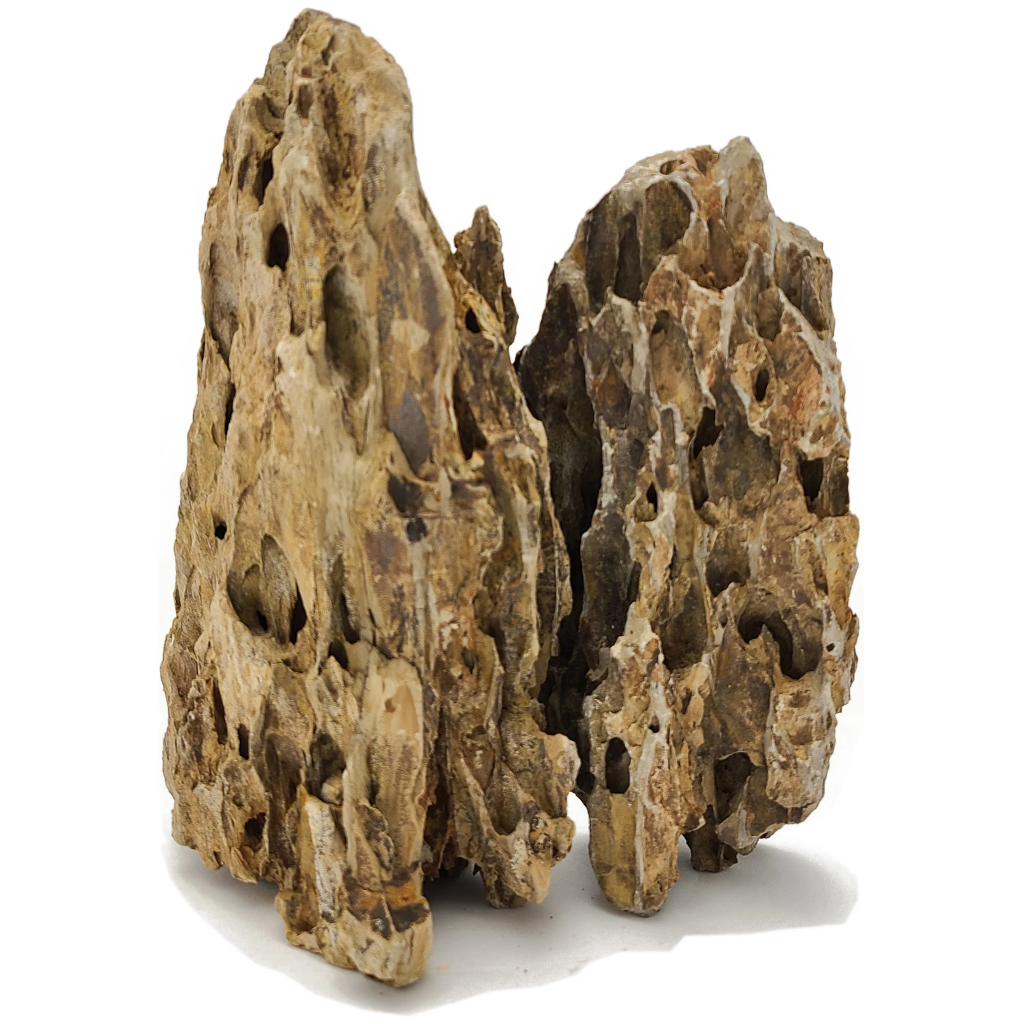 Lifegard Dragon Ohko Rock - 44lbs | Fresh & Salty Decor