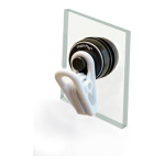 Two Little Fishies VeggieMag Clip - Magnetic Seaveggies Feeding Tool for Fresh and Salty Aquariums