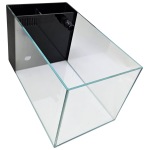 Freshwater fun with Lifegard Aquatics' 3.8 Gallon Crystal Peninsula Aquarium