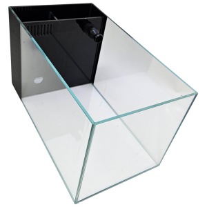 Freshwater fun with Lifegard Aquatics' 3.8 Gallon Crystal Peninsula Aquarium