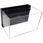 4 Gallon Lifegard Aquatics Beveled Edge Aquarium with Back Filter – perfect for fresh and salty fish adventures!
