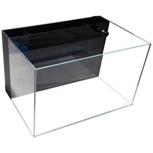 4 Gallon Lifegard Aquatics Beveled Edge Aquarium with Back Filter – perfect for fresh and salty fish adventures!