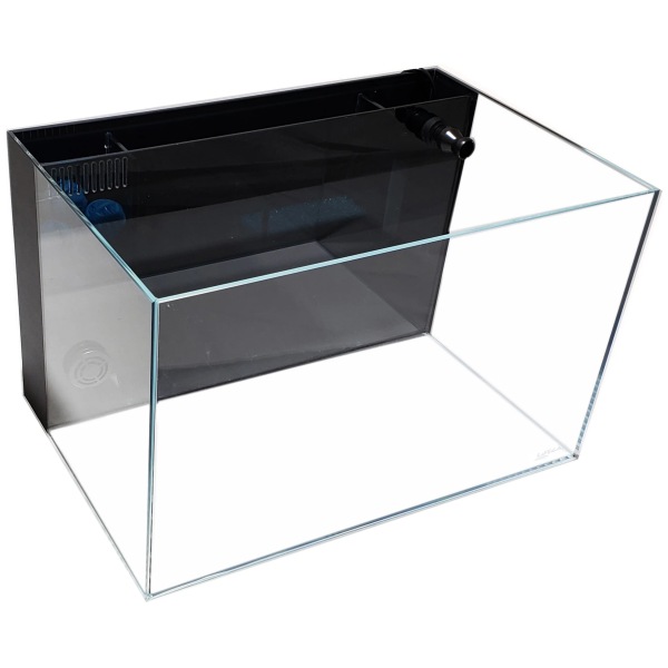 4 Gallon Lifegard Aquatics Beveled Edge Aquarium with Back Filter – perfect for fresh and salty fish adventures!