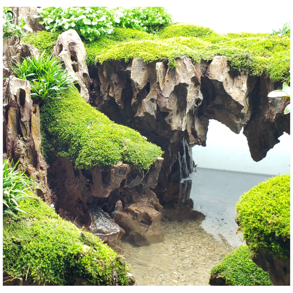 788379319885-lifegard-DragonRock-15lb