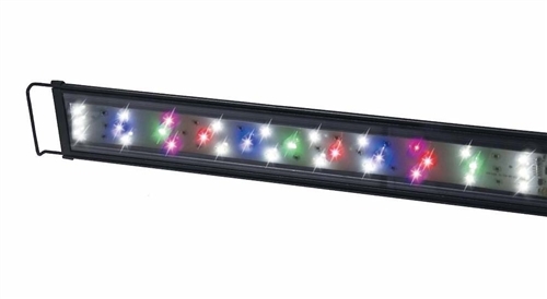 LG - Full Spectrum Light 5"