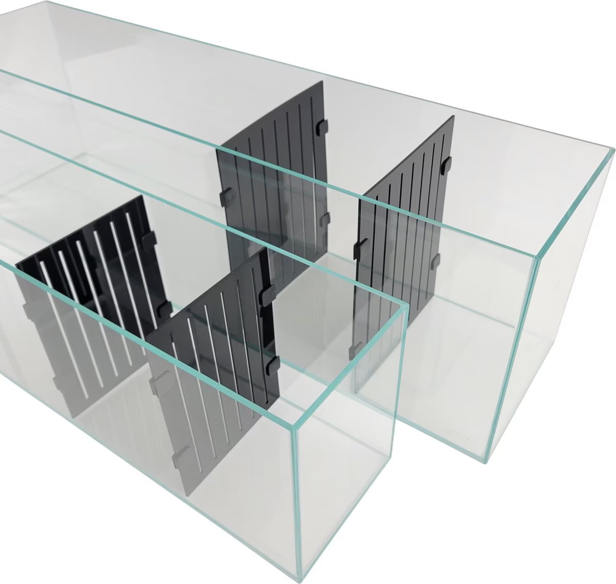Curated visual reference: Aquatic Aquarium Divider Reference: Acrylic Dividers For 6 Gallon Aquarium