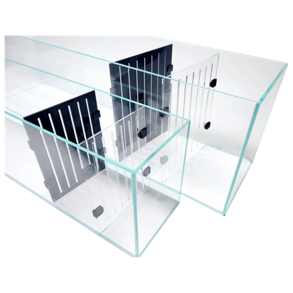 Curated visual reference: Gallery Detail: Acrylic Dividers For 11 Gallon Aquariums