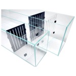Acrylic Dividers Set of 2 for 11 Gallon Bookshelf Aquariums by Lifegard Aquatics - Perfect for fresh & salty tank harmony!