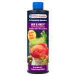 Freshwater One & Only - Image 2