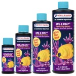 Saltwater One & Only - Image 1