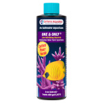 Saltwater One & Only - Image 4