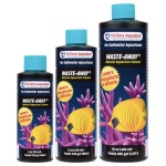 Saltwater Waste-Away - Image 1