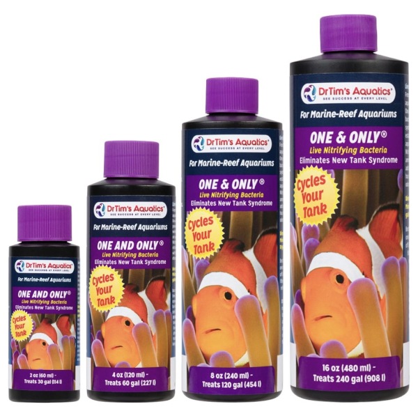 400 marine one and only family - 5