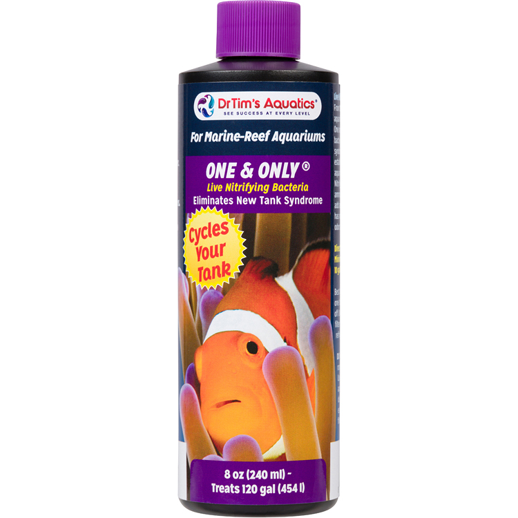 Reef One & Only - Image 3
