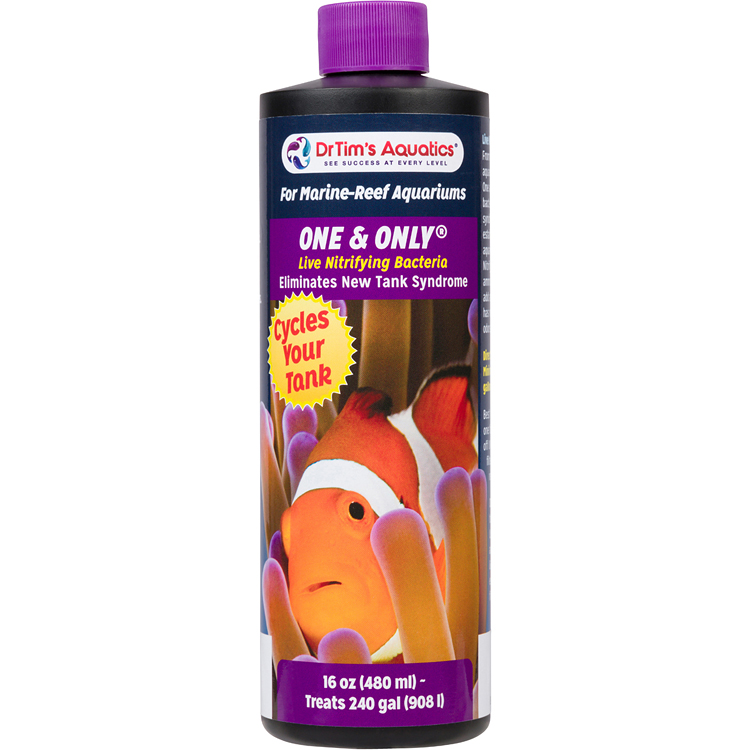 Reef One & Only - Image 2