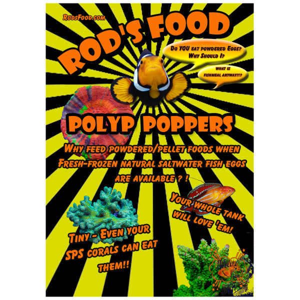 Rod's Food Polyp Poppers 2 oz - Gourmet Frozen Treats for Aquariums Rod's Food Polyp Poppers