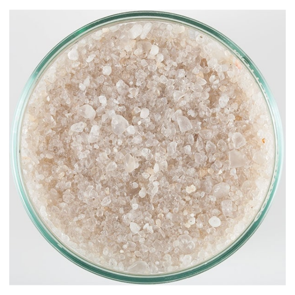 008479008404-crystal-river-1