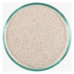CaribSea - Arag-Alive - Bahamas Oolite Sand - 20 lb (2 x 20 lbs per case) - Image 1