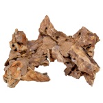 CaribSea - Exotica - Dragon Arches - 8" - 4 pack - Image 1