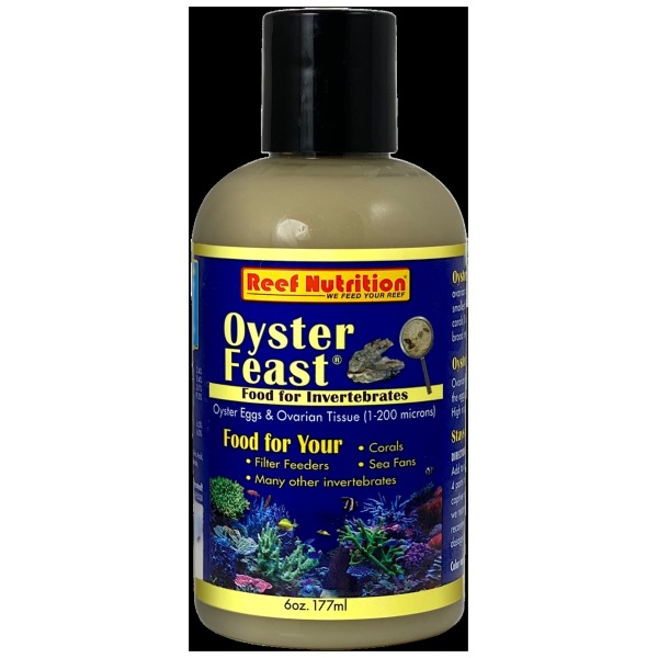 Oyster-Feast Coral Food