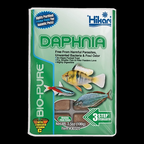 Hikari Daphnia Cubes - 3.5 oz.