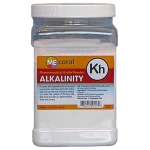 Alkalinity Powder Mix - Image 1