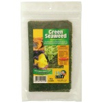 Green Seaweed - Image 1