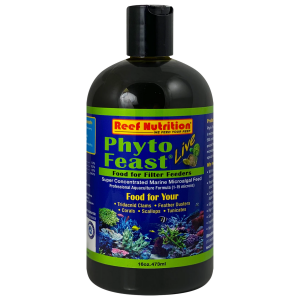 Phyto-Feast Live - Image 3