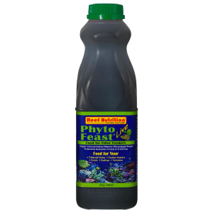Phyto-Feast Live - Image 4