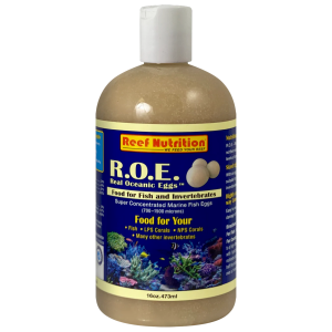 R.O.E.-Real Oceanic Eggs - Image 4