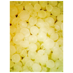 R.O.E.-Real Oceanic Eggs - Image 2