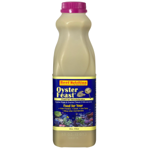 Oyster-Feast - Image 3
