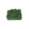 Water Plant Cultivation Ceramic Square Pot for Freshwater Aquariums - 2.5" Decor to help your plants thrive!