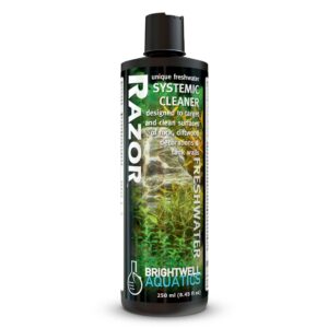 Razor Freshwater