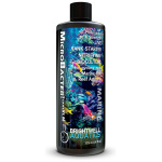 MicroBacterSTARTXLM - Image 1