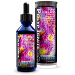 Polyp Ignite - Image 1