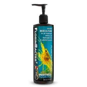 Shrimp Line - FlorinBacter