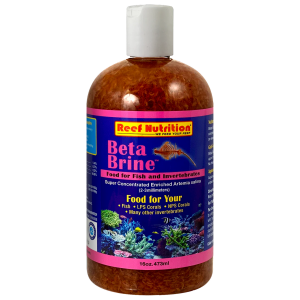 RN - Beta Brine - Image 3